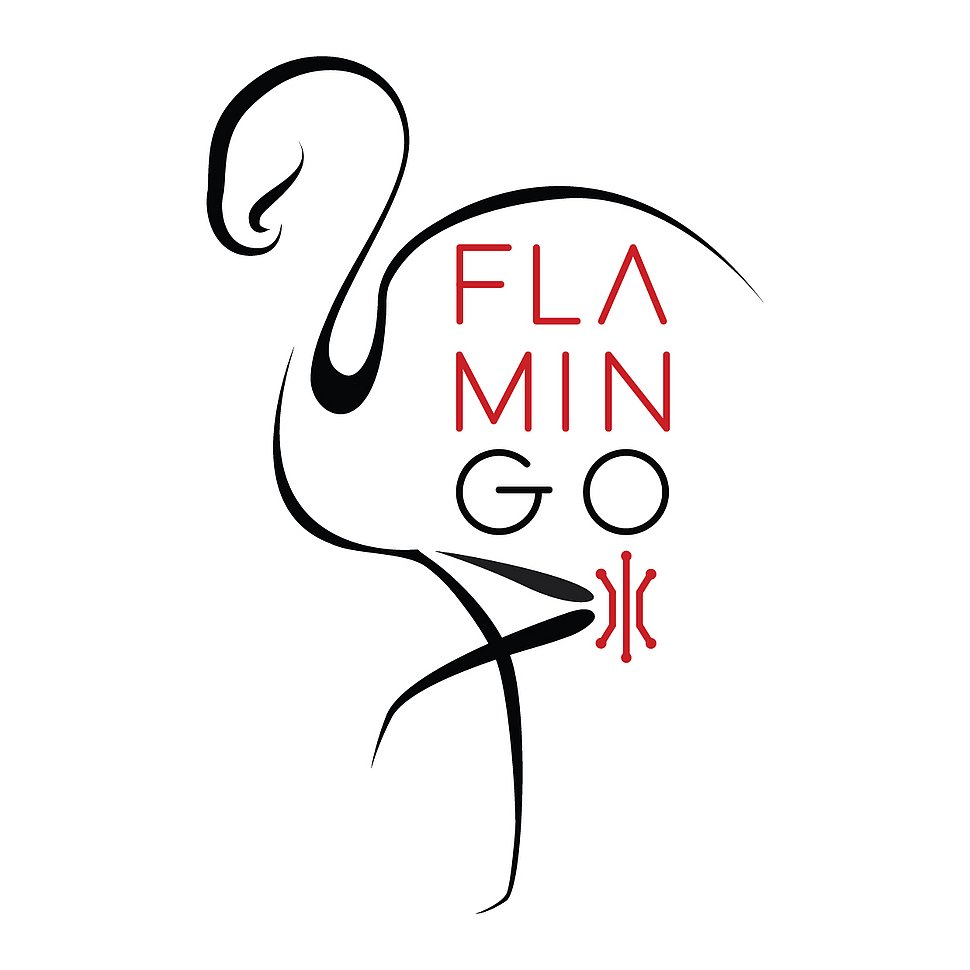 Logo des Flamin-Go Projekts