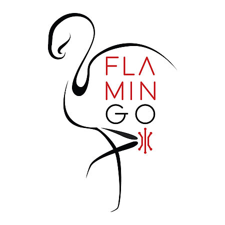 Logo of the Flamin-Go project
