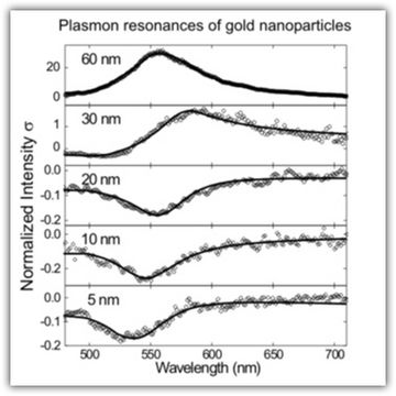 Detection and Spectroscopy of Gold Nanoparticles Using Supercontinuum White Light Confocal Microscopy