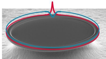 Visualisation of coupled dark and bright light pulses (blue and red respectively) in a microresonator, which has a diameter of 235 micrometer. Image: Max Planck Institute for the Science of Light 
